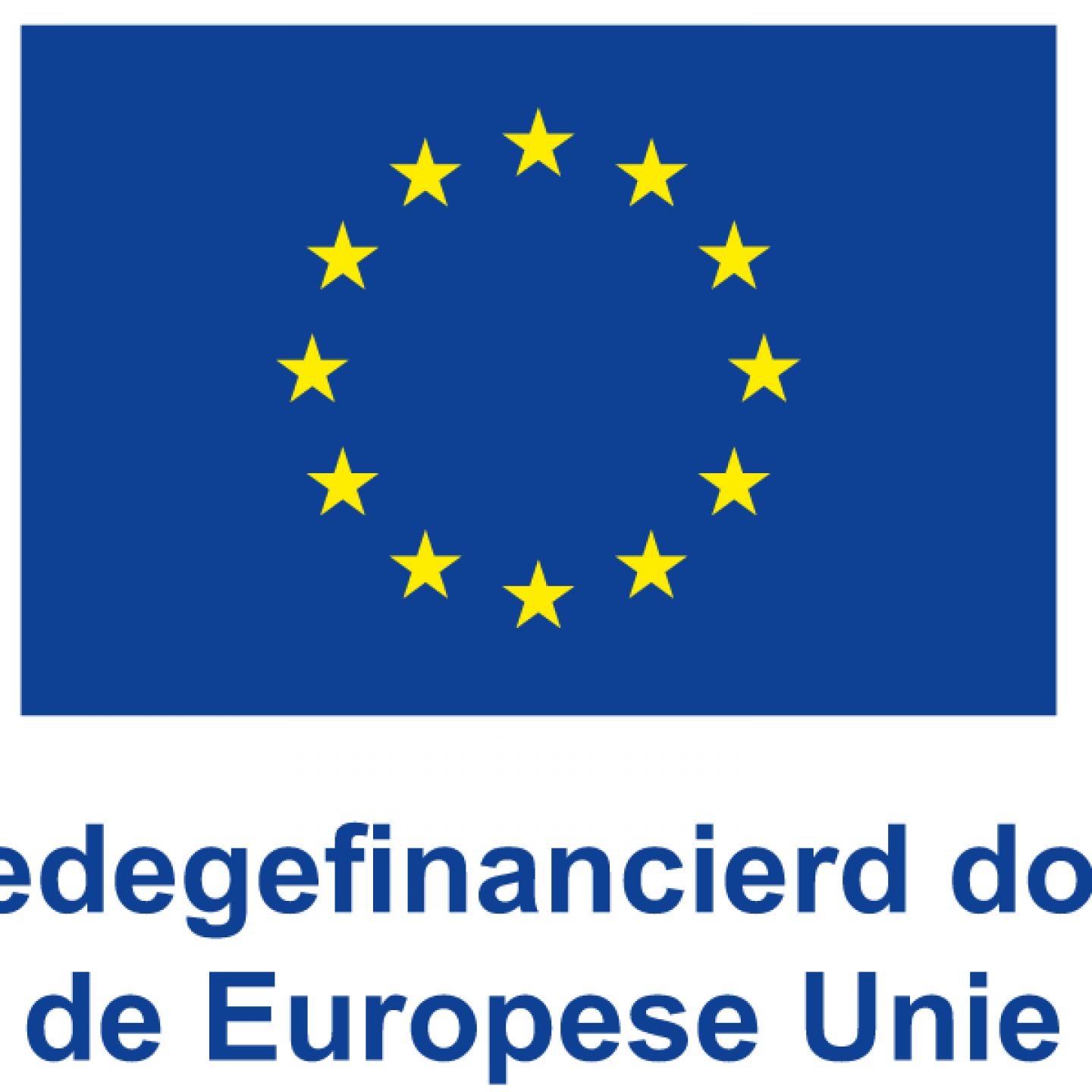 Logo Europese Unie. Tekst: Medegefinancierd door de Europese Unie
